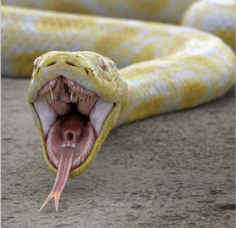 modelado 3d de serpiente amarilla con la boca abierta sobre suelo árido para presentación de Britney Spears