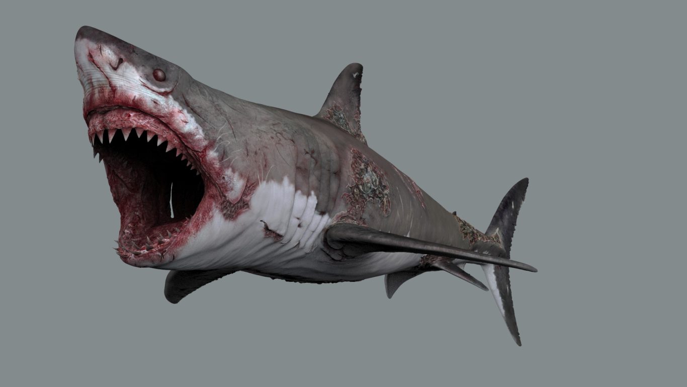 3D modelling - zombie shark 