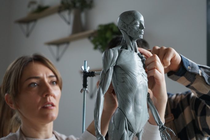esqueleto de resina que tiene mitad musculos mitad huesos 